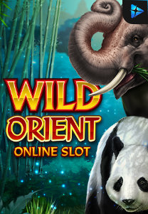 Bocoran RTP Wild Orient di ZOOM555 | GENERATOR RTP SLOT