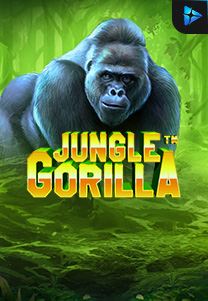 Bocoran RTP Jungle Gorilla di ZOOM555 | GENERATOR RTP SLOT